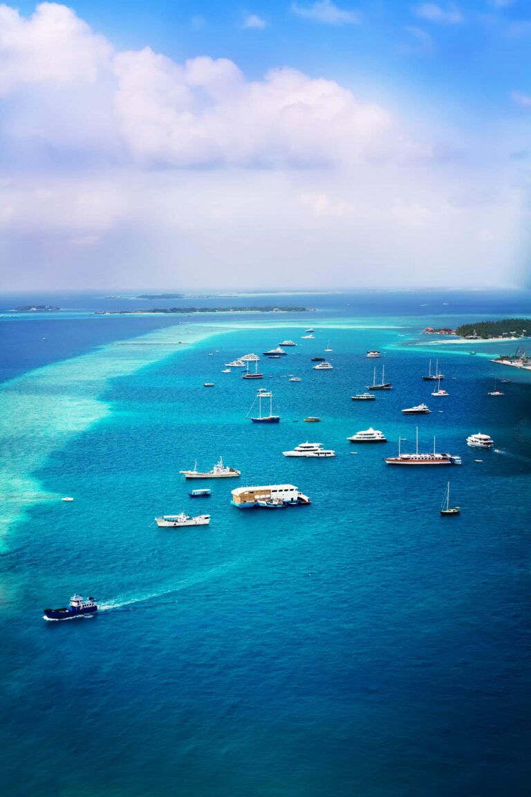 sailboats, motor yachts and hybrid boats