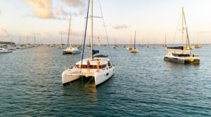 Two catamarans sailing in the ocean. Discover why catamarans are rising in popularity in 2025—from stability and sustainability to luxury and design evolution.