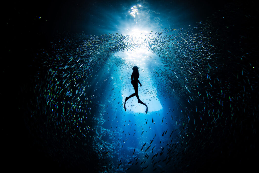 free diver swimming