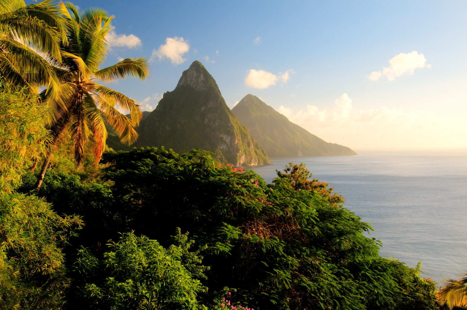 Small Yacht Trends 2026 | Owner-Operator Options | YATCO St. Lucia island